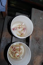 DSC_0046.jpg