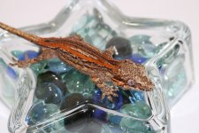 IMG_0396  TA3.jpg