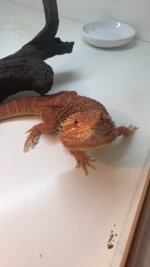 A54511A2-C3B4-4B14-B1C5-6EF930D4D0EB.jpg