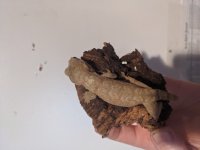 IMG_20200506_185910.jpg