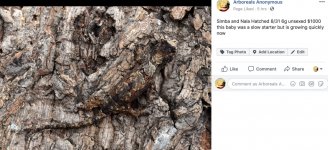 Screen Shot 2019-12-08 at 5.18.47 PM.jpg