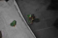 DSC_0153.jpg