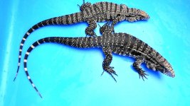 Pair 93 bw enc ne ac.jpg