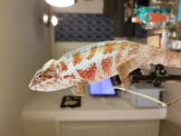 20180810_230442.jpg