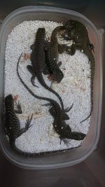 IMG_20171018_193443772.jpg