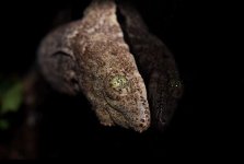 CEF73408-10E8-4D72-91CC-2B1DAA0603EB.jpeg