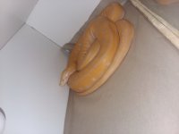 20191228_155039.jpg