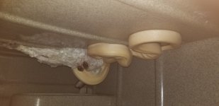 20180909_232139.jpg