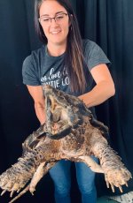 nikkiturtle.jpg