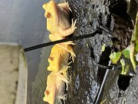 021B2FED-C1BB-4144-A529-C1506B30F288.jpg