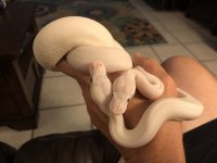 IMG_0285.jpg