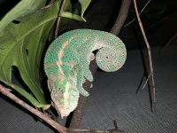 IMG_7299.jpg