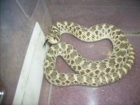 042.JPG