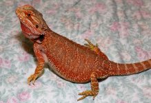 IMG_8077.jpg