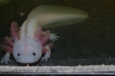 DSC_0043.jpg