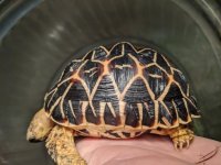 Male 1 (4).jpg