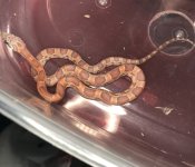 AACEF85D-1839-4227-9C99-19E64DF49ABB.jpg