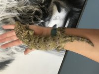IMG_4211.jpg