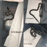 9E4FEFF6-8DAB-48E0-9C6D-9E8EDC878FFA.jpg