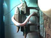0D571373-61AE-4F7D-8FD2-96CAE51679DA.jpg