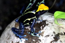 IMG_1605.jpg