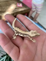 F08DB829-C984-458D-9220-97CC48F9BBE3.jpg