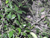DSCN5355.jpg