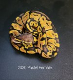 20201105_145605.jpg