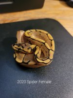 20201105_145637.jpg