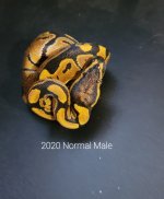 20201105_145538.jpg