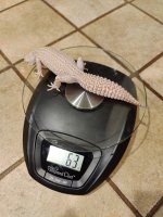 IMG_20201024_004920.jpg