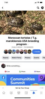 moroccan facebook.jpg