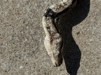 20200906_113046.jpg