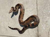 20200906_112451.jpg