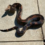 20200906_112822.jpg