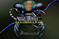 nightmarachnokulturenewlogo.jpg