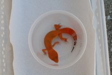 IMG_9607.jpg
