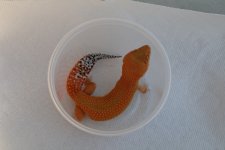 IMG_9580.jpg