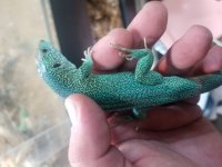 20201029_182341.jpg