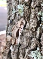 9AE3D275-318F-413E-A30B-5C5B663E52F2.jpg