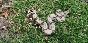 20201110_143554.jpg