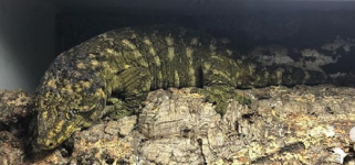 1598156058(2).png