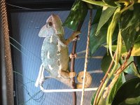 IMG_6881 2.jpg