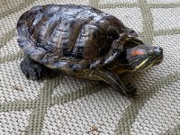 IMG_3067.jpg