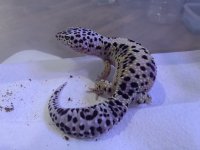 39457DF6-CA80-4279-B0A6-D8EC17C26D6D.jpg