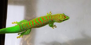 20200606_100741.jpg