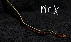 IMG_20200906_173210~3.jpg