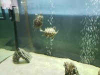 20200808_164554.jpg