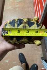 6BDD7FD7-D761-4F75-9AFE-226C899F7D63.jpg