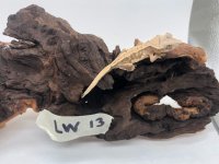 LW13.jpg